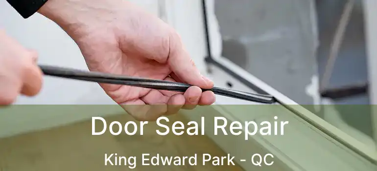  Door Seal Repair King Edward Park - QC
