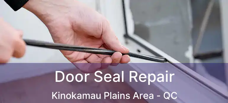  Door Seal Repair Kinokamau Plains Area - QC
