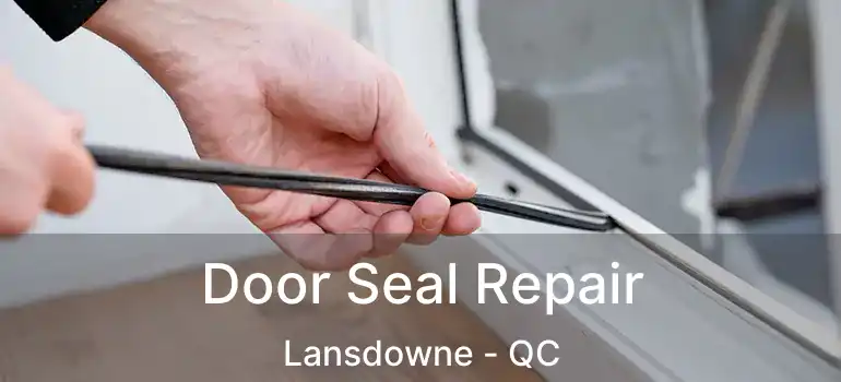  Door Seal Repair Lansdowne - QC