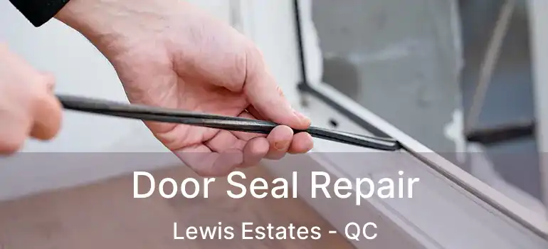  Door Seal Repair Lewis Estates - QC