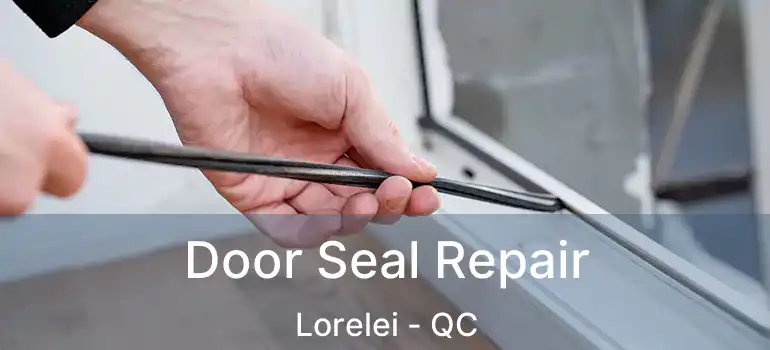  Door Seal Repair Lorelei - QC