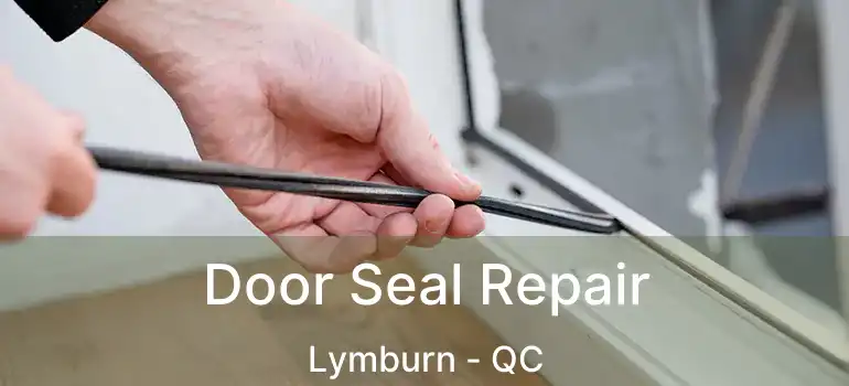  Door Seal Repair Lymburn - QC
