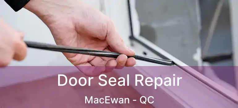  Door Seal Repair MacEwan - QC