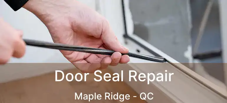  Door Seal Repair Maple Ridge - QC