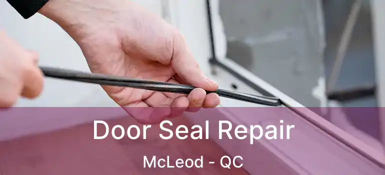  Door Seal Repair McLeod - QC
