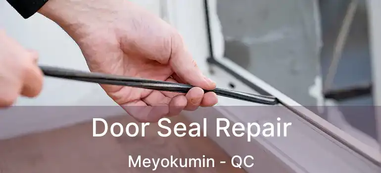 Door Seal Repair Meyokumin - QC