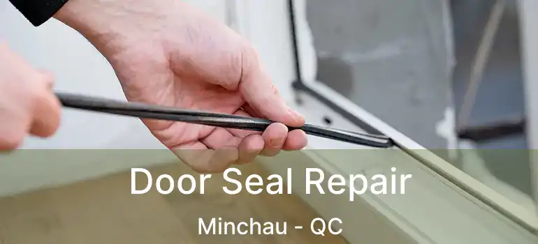  Door Seal Repair Minchau - QC