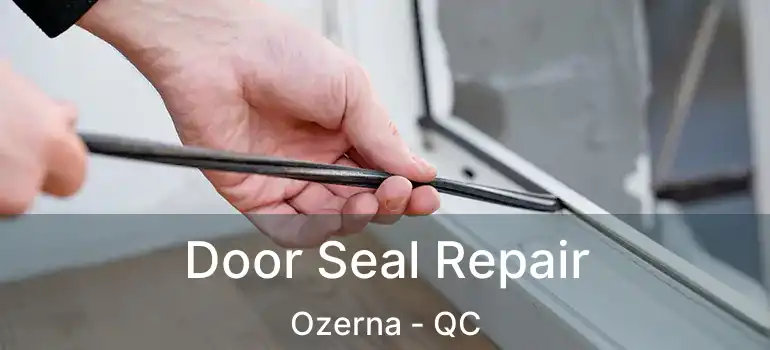  Door Seal Repair Ozerna - QC