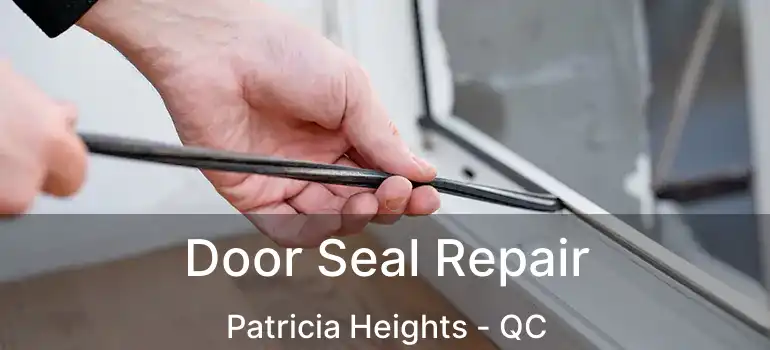  Door Seal Repair Patricia Heights - QC