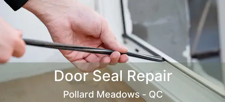  Door Seal Repair Pollard Meadows - QC