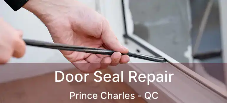  Door Seal Repair Prince Charles - QC
