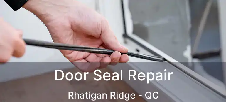  Door Seal Repair Rhatigan Ridge - QC