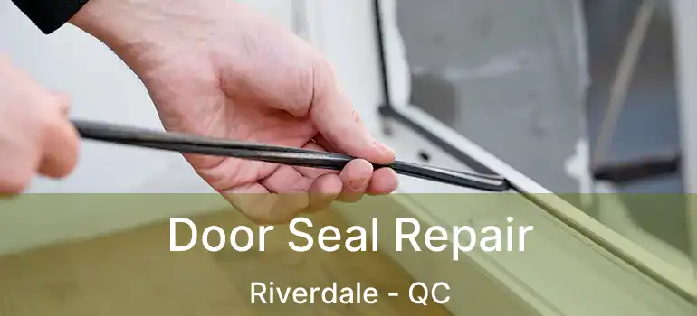  Door Seal Repair Riverdale - QC