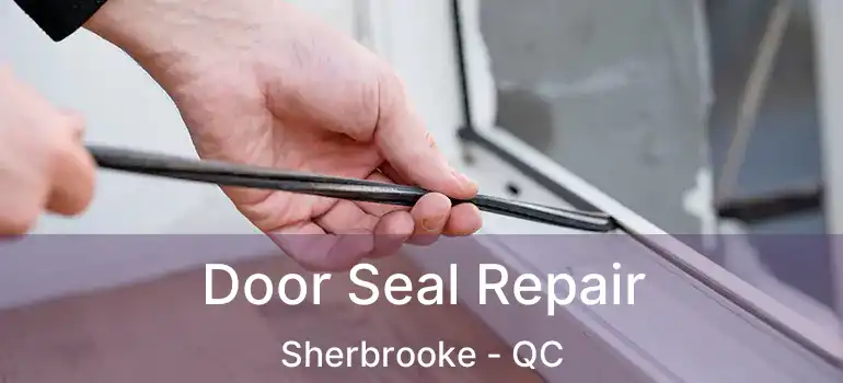  Door Seal Repair Sherbrooke - QC