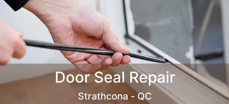  Door Seal Repair Strathcona - QC