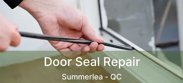  Door Seal Repair Summerlea - QC