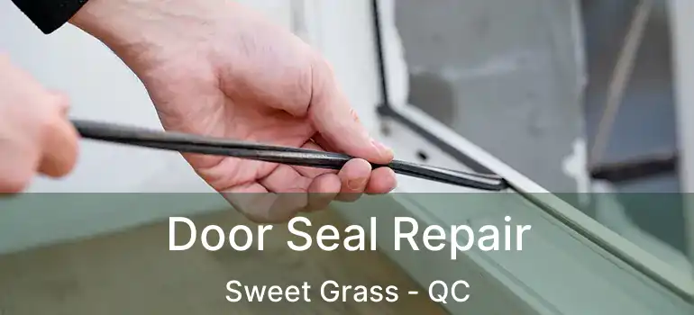  Door Seal Repair Sweet Grass - QC