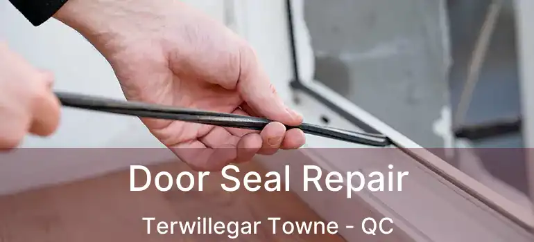  Door Seal Repair Terwillegar Towne - QC