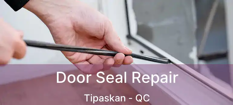  Door Seal Repair Tipaskan - QC