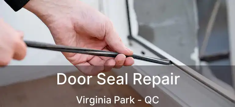  Door Seal Repair Virginia Park - QC