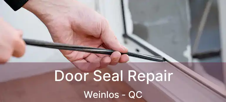  Door Seal Repair Weinlos - QC