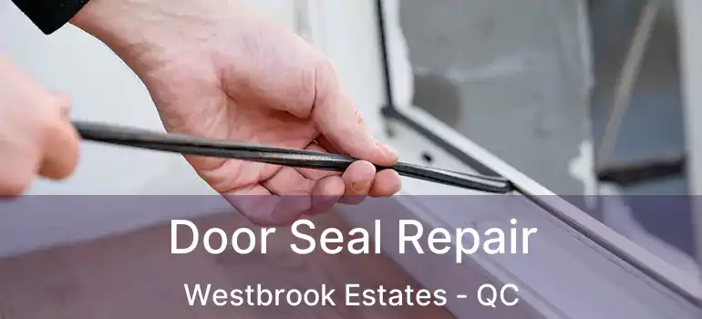  Door Seal Repair Westbrook Estates - QC