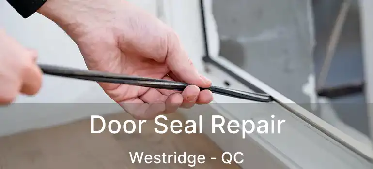  Door Seal Repair Westridge - QC