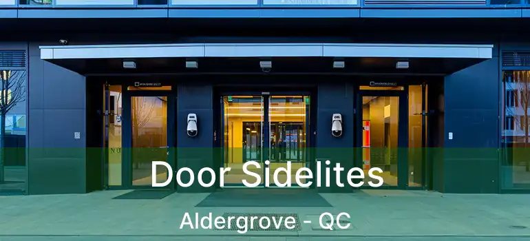  Door Sidelites Aldergrove - QC