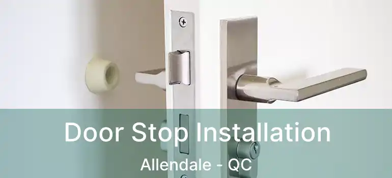  Door Stop Installation Allendale - QC