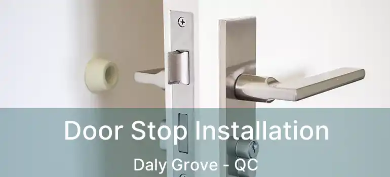  Door Stop Installation Daly Grove - QC