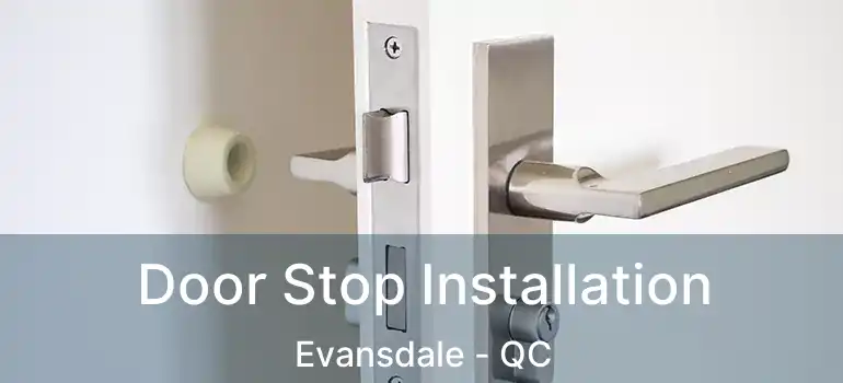 Door Stop Installation Evansdale - QC