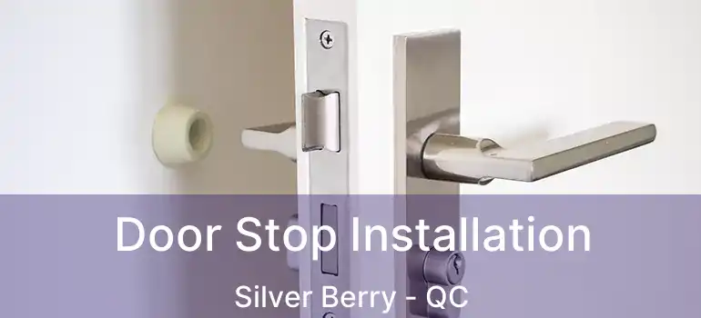  Door Stop Installation Silver Berry - QC