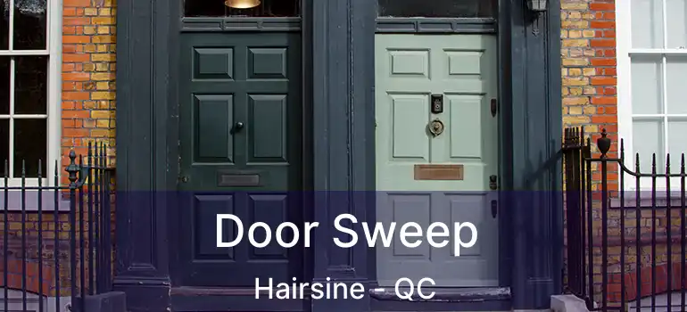  Door Sweep Hairsine - QC