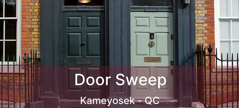  Door Sweep Kameyosek - QC