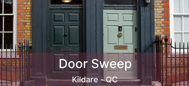  Door Sweep Kildare - QC