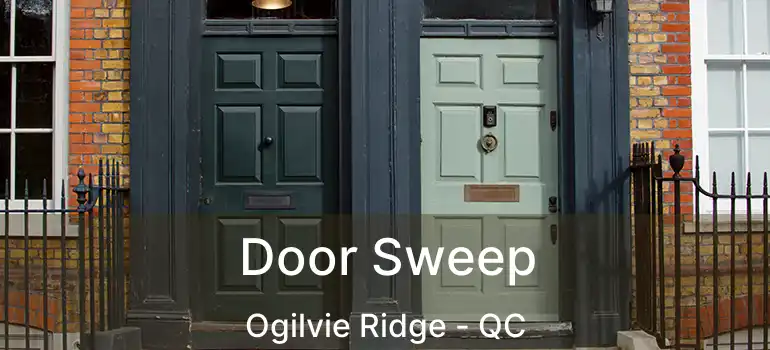  Door Sweep Ogilvie Ridge - QC