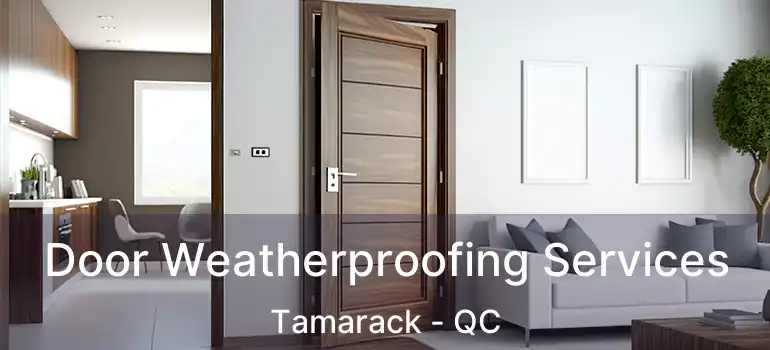  Door Weatherproofing Services Tamarack - QC