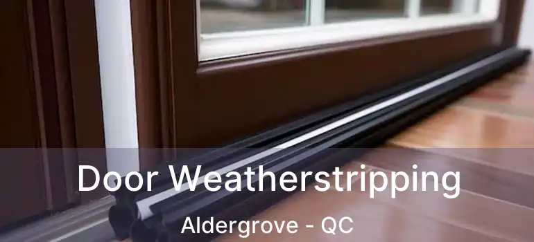  Door Weatherstripping Aldergrove - QC
