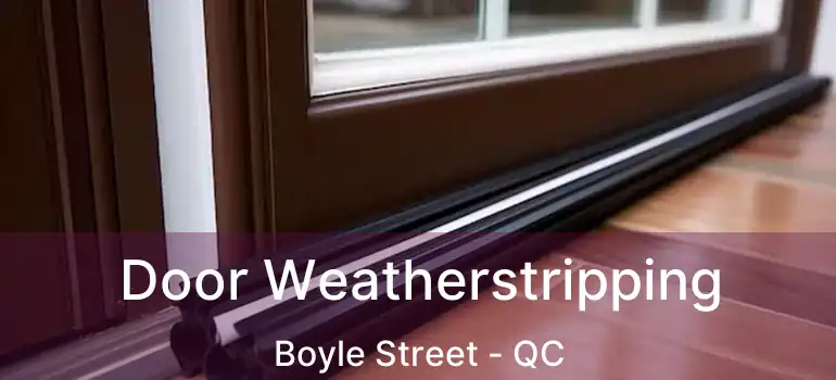  Door Weatherstripping Boyle Street - QC
