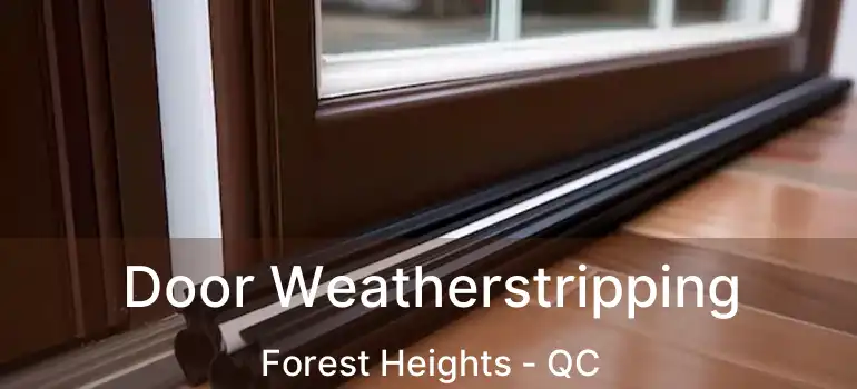  Door Weatherstripping Forest Heights - QC