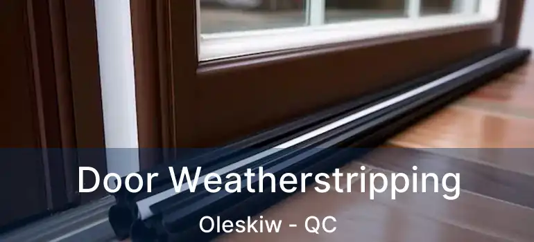  Door Weatherstripping Oleskiw - QC