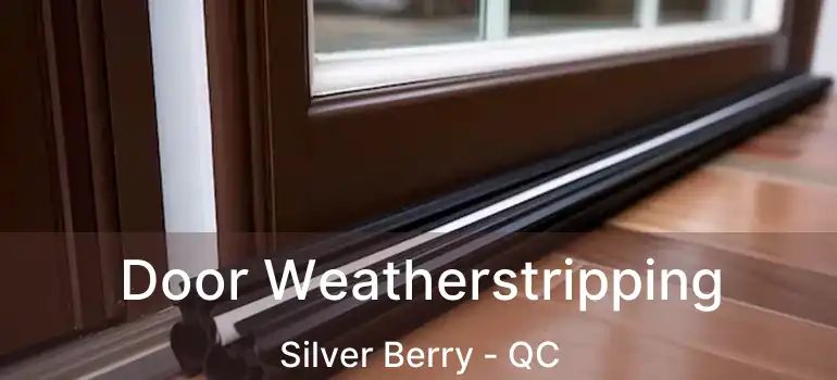  Door Weatherstripping Silver Berry - QC