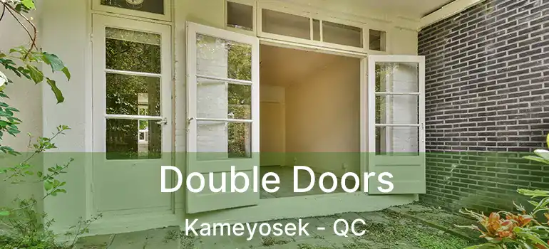  Double Doors Kameyosek - QC