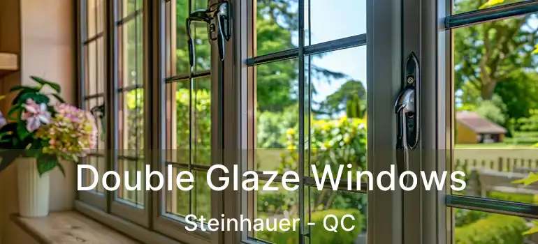  Double Glaze Windows Steinhauer - QC