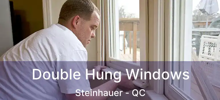  Double Hung Windows Steinhauer - QC