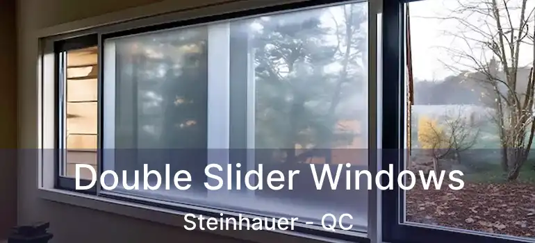  Double Slider Windows Steinhauer - QC