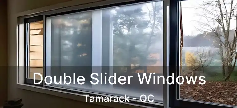  Double Slider Windows Tamarack - QC