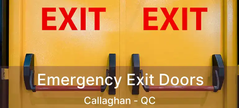  Emergency Exit Doors Callaghan - QC