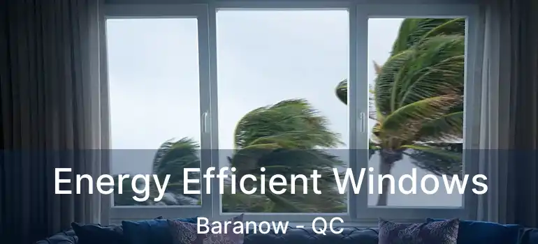  Energy Efficient Windows Baranow - QC