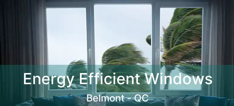  Energy Efficient Windows Belmont - QC